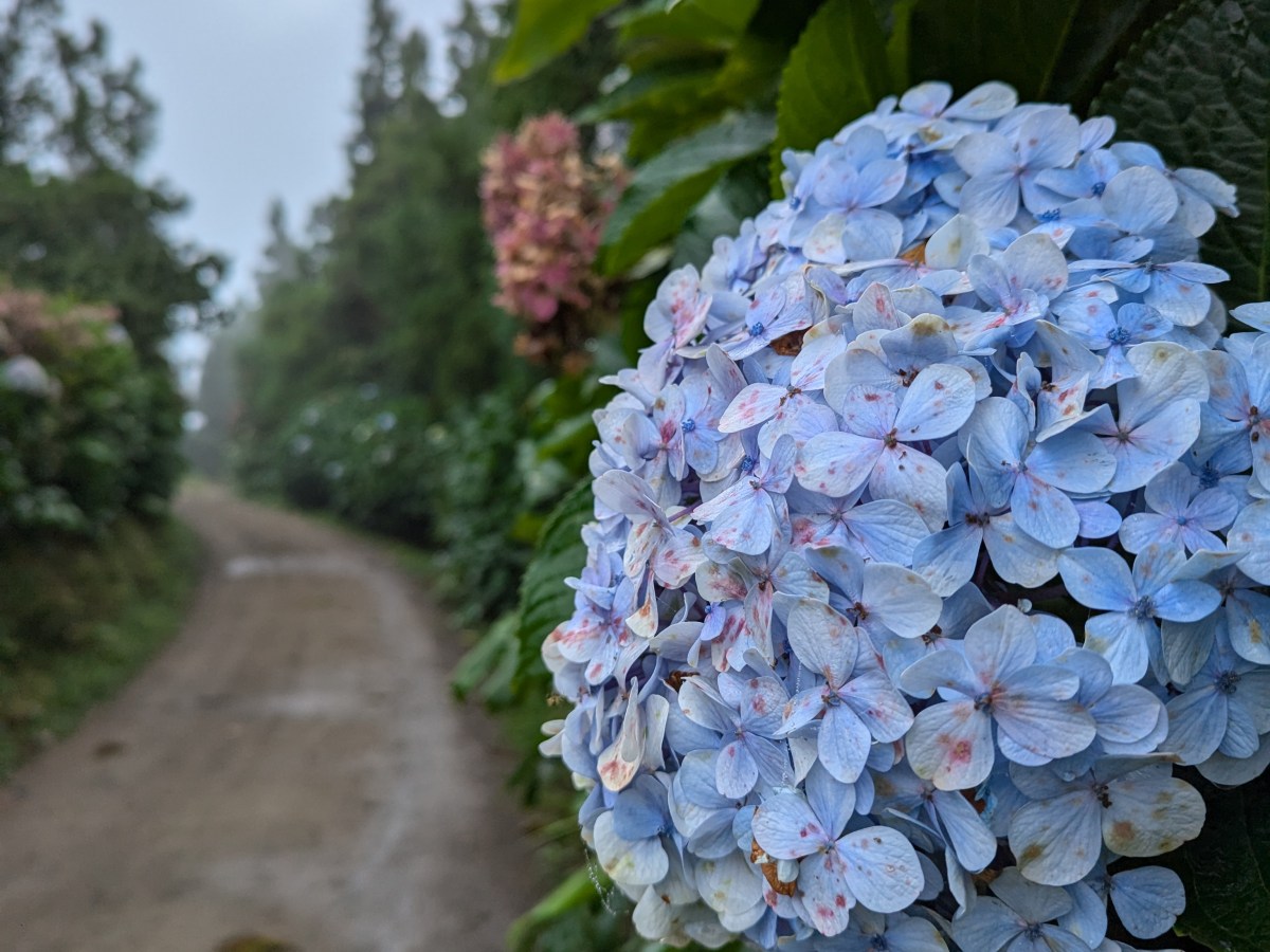 Azores – lets do it&nbsp;again!