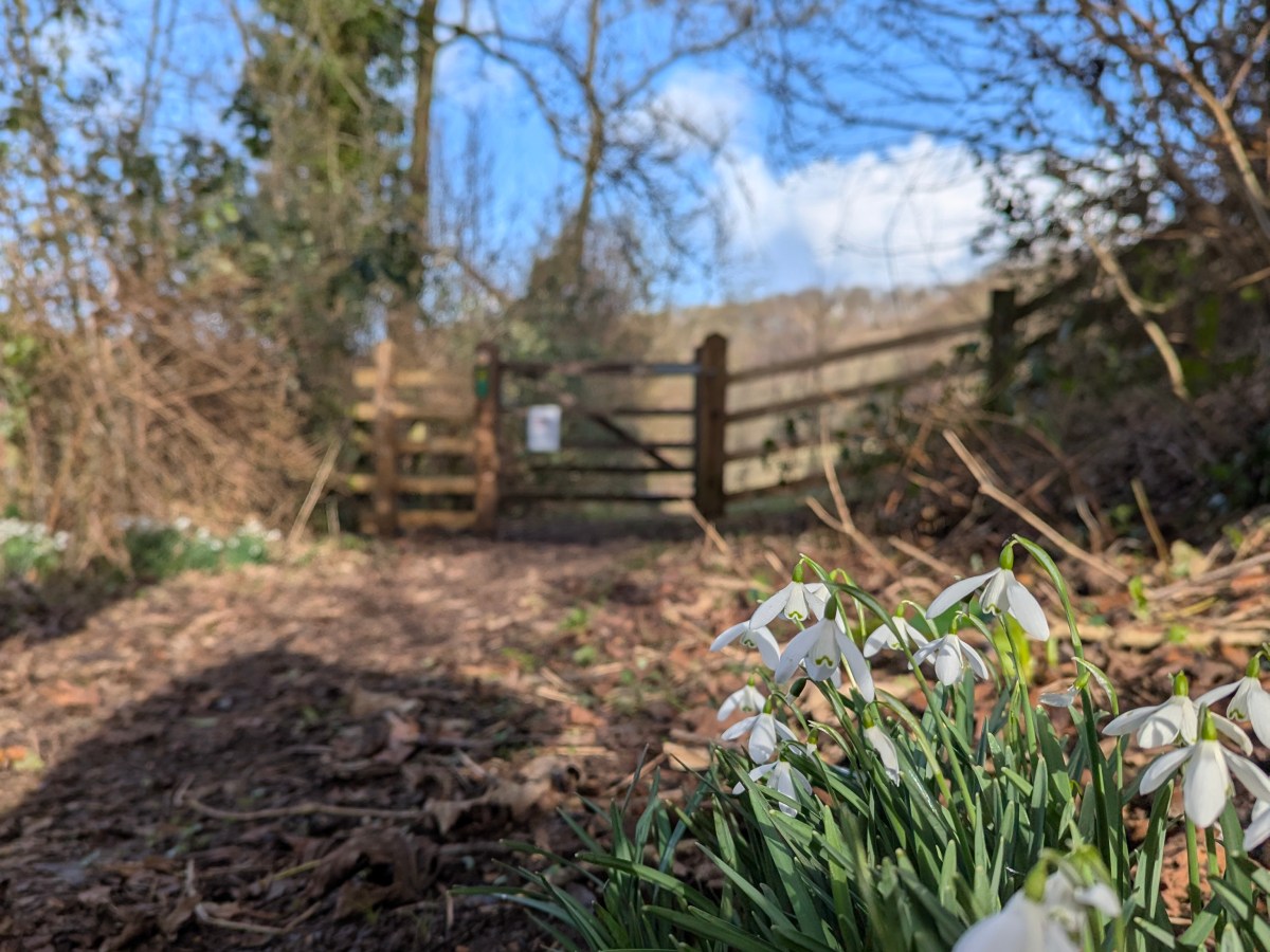 Cotswolds – Squelching&nbsp;time!