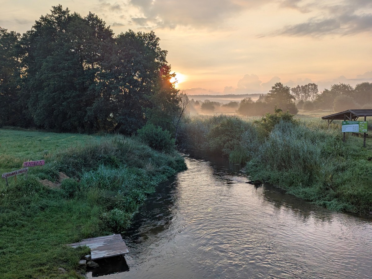 Delayed Flights, Birdwatching, and Spotted Legs: A Roztocze&nbsp;Tale