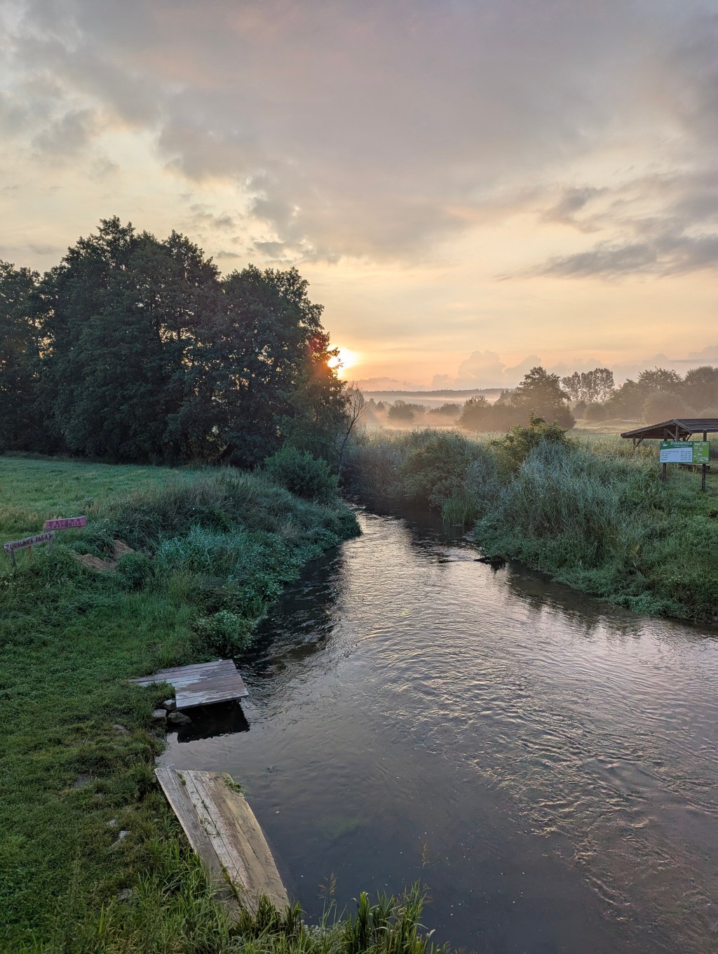 Delayed Flights, Birdwatching, and Spotted Legs: A Roztocze&nbsp;Tale